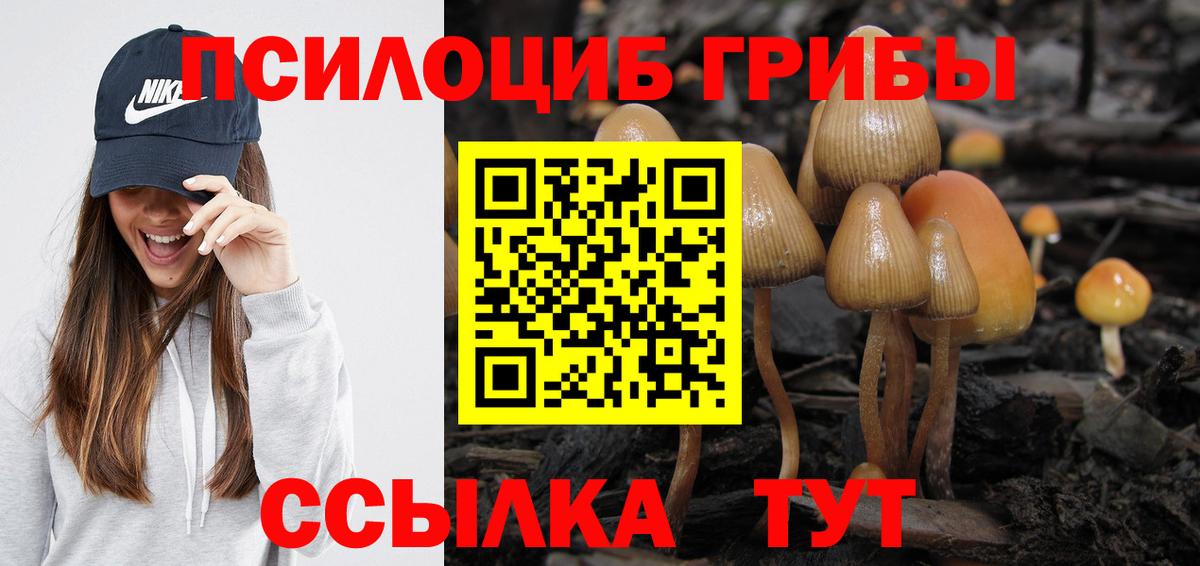 Псилоцибиновые грибы мицелий Семёнов