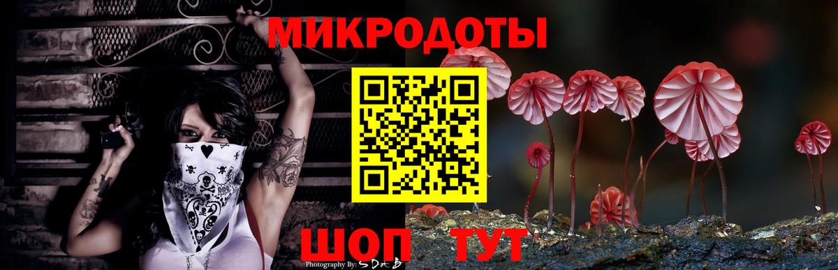 Семёнов  Галлюциногенные грибы Cubensis  Галлюциногенные грибы Cubensis  Вход с VPN 